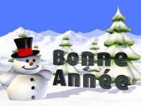 Bonne ann�e