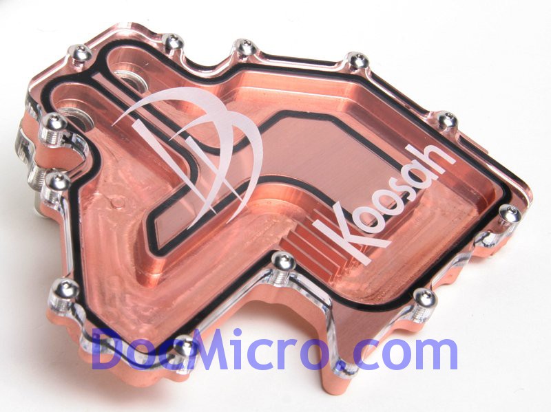 http://www.docmicro.com/images/pieces/DD_Koosah_Nvidia.jpg