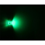 The Feser Company-LED Vert 5mm DOUBLE avec prise molex 4 pins