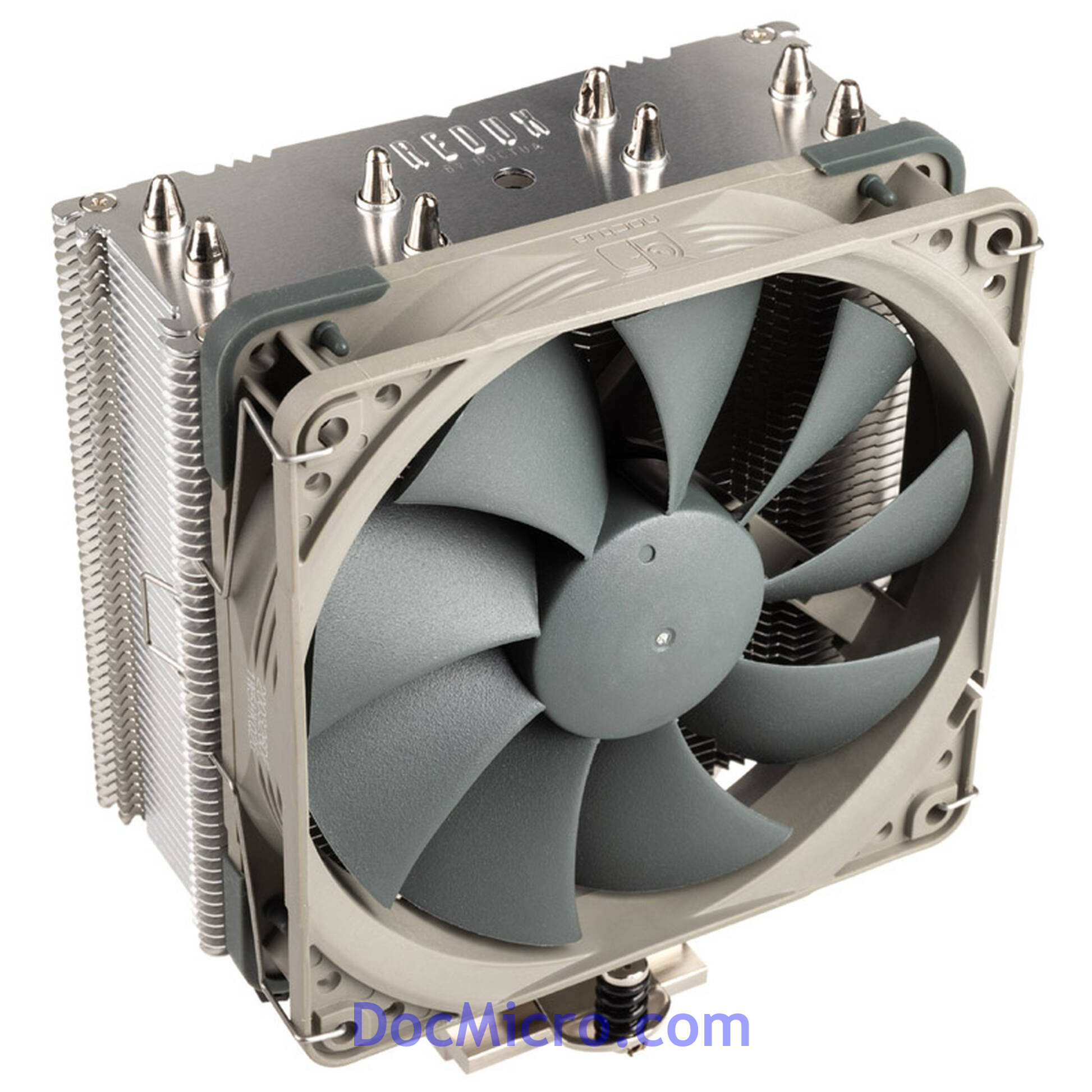Noctua