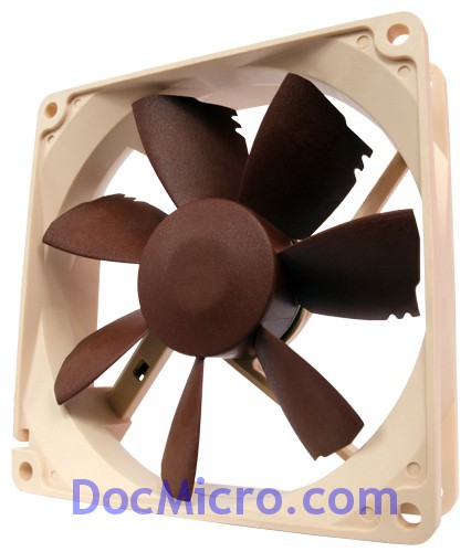 Noctua