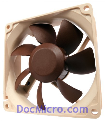 Noctua